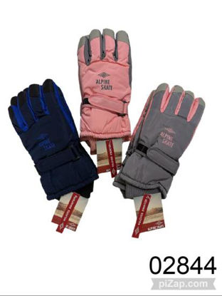 Imagen de GUANTE ALPINE SKATE C/PUÑO, INTERIOR TERMICO Y AJUSTABLE 5.26
